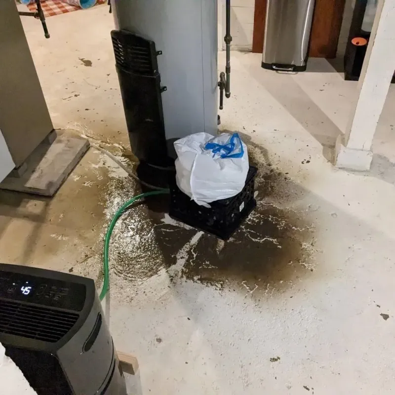 Sewage Backup Cleanup Service in King, NC